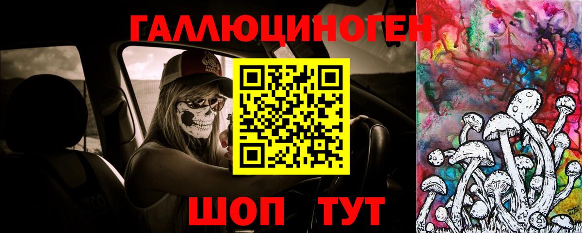 Нижнекамск  Псилоцибиновые грибы Psilocybe  Псилоцибиновые грибы ЛСД  Вход с VPN 